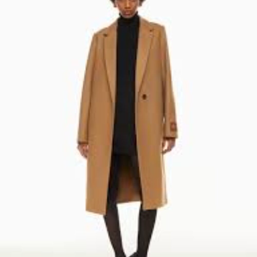 Aritzia Babaton Stedman Coat